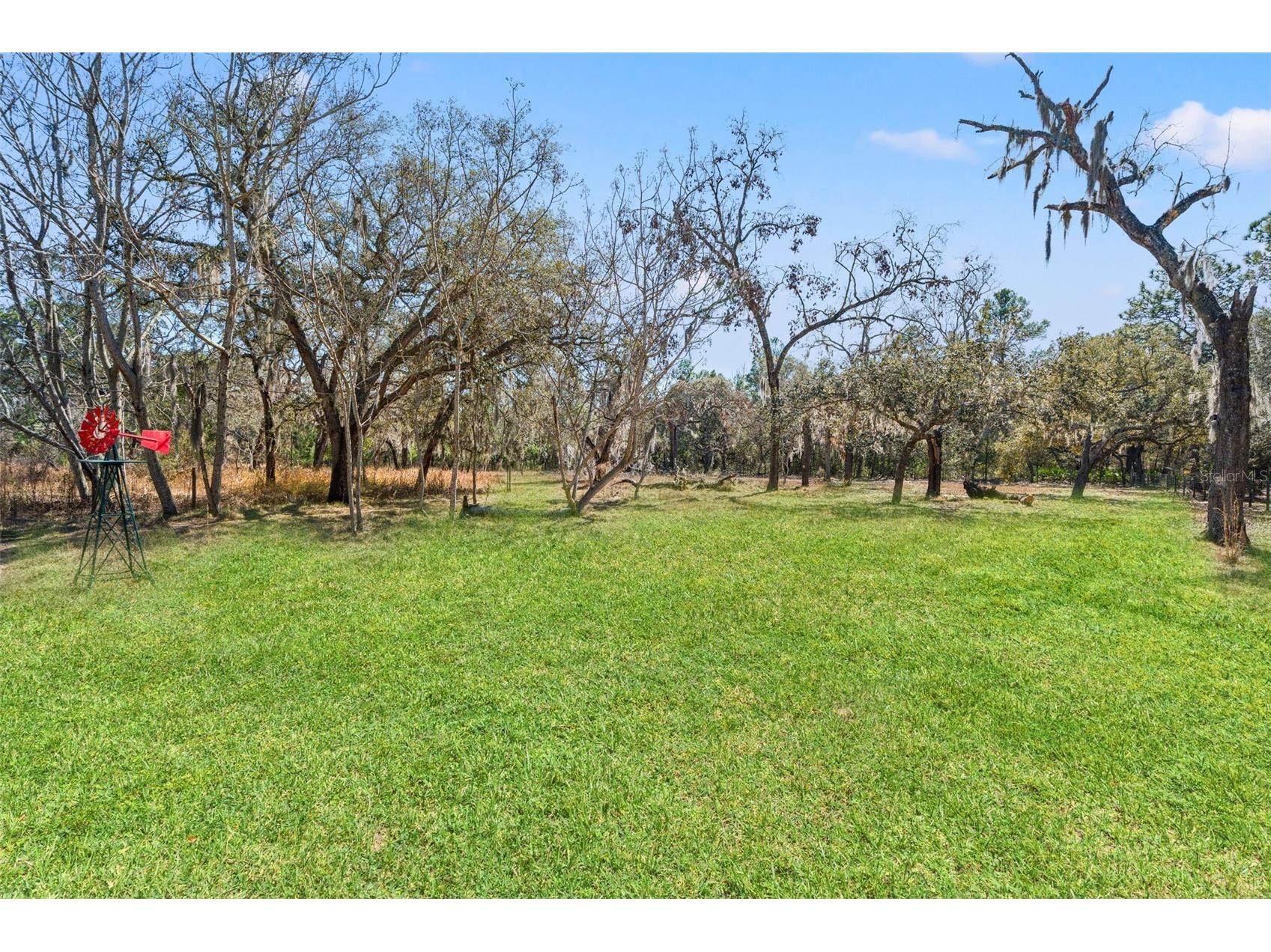 12222 Beagle Road Hudson FL 34667 W7882611 image59