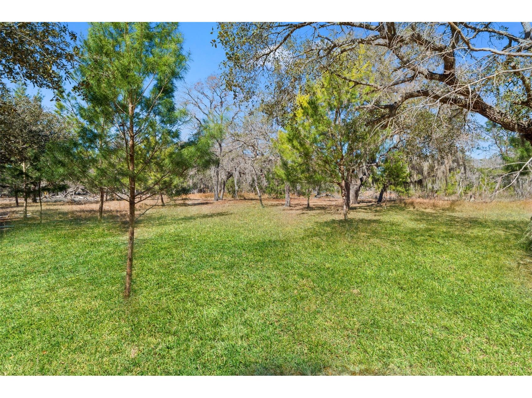 12222 Beagle Road Hudson FL 34667 W7882611 image61