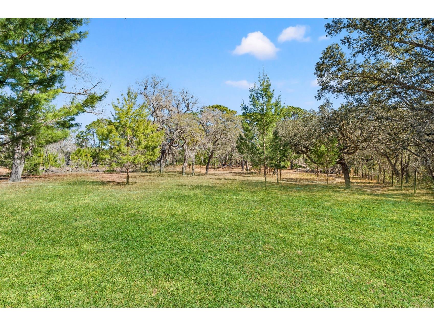 12222 Beagle Road Hudson FL 34667 W7882611 image64