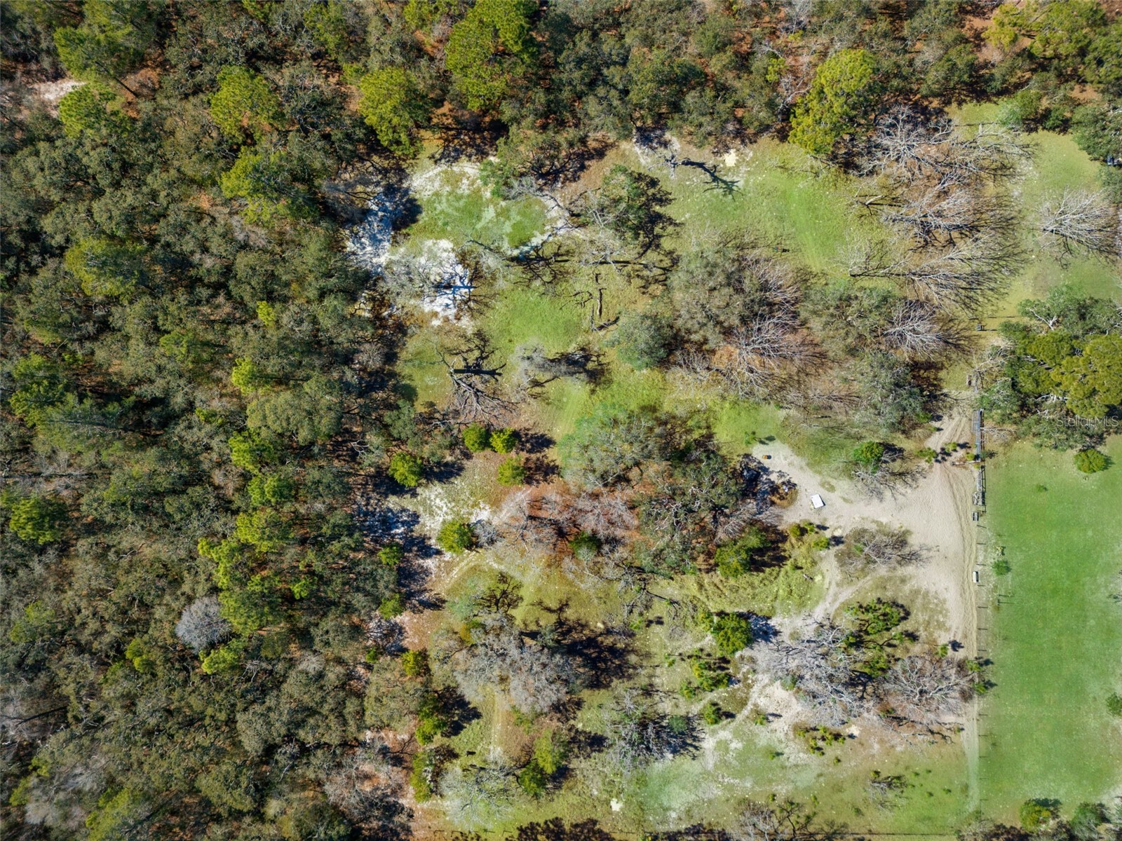 12222 Beagle Road Hudson FL 34667 W7882611 image73