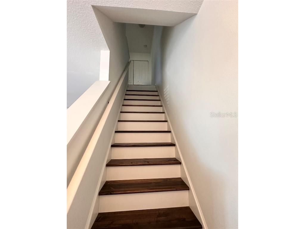 12222 Country White Circle Tampa FL 33635 TB8452702 image9