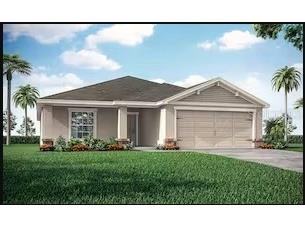 12223 Cypress Branch Street Riverview FL 33579 J970239 image1