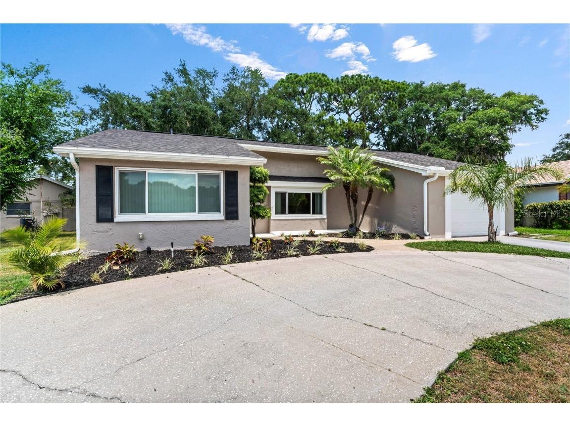 12223 Meadowbrook Ln Hudson FL 34667 T3521434 image1