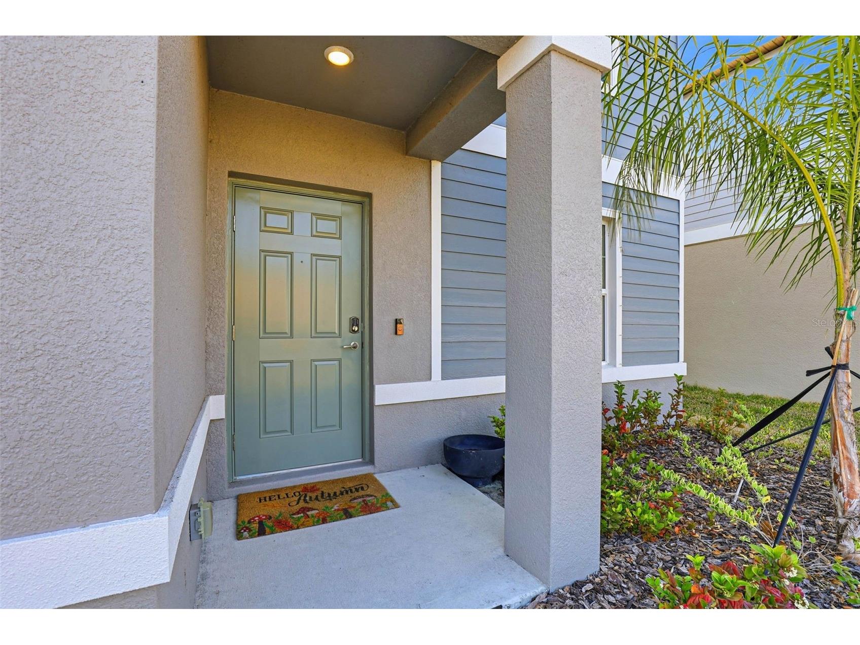 12223 Radiant Gem Trail Parrish FL 34219 TB8476609 image7