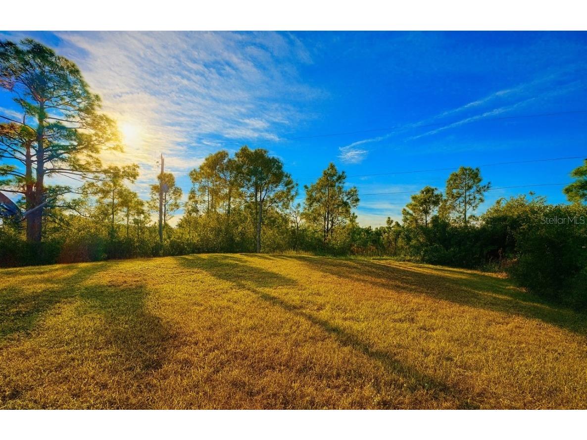 12223 Zittle Avenue Port Charlotte FL 33981 D6144955 image2