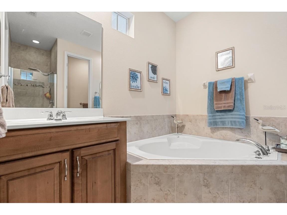 12224 Triton Lane Orlando FL 32837 O6334063 image9