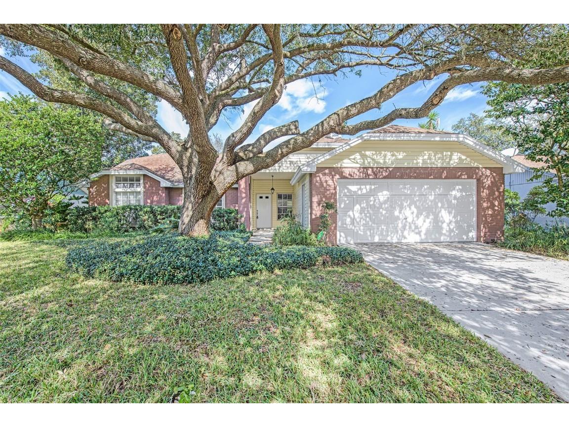 12224 Wildbrook Drive Riverview FL 33569 T3353303 image1
