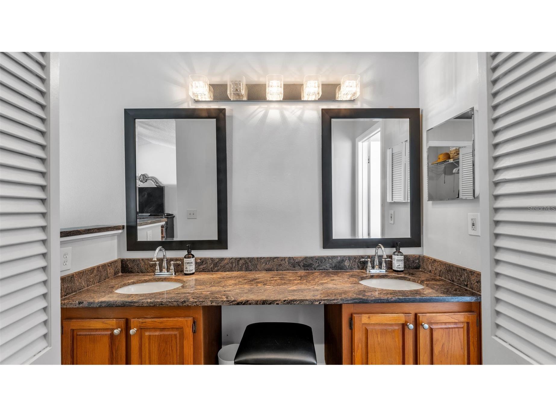 12224 Wildbrook Drive Riverview FL 33569 L4959535 image23