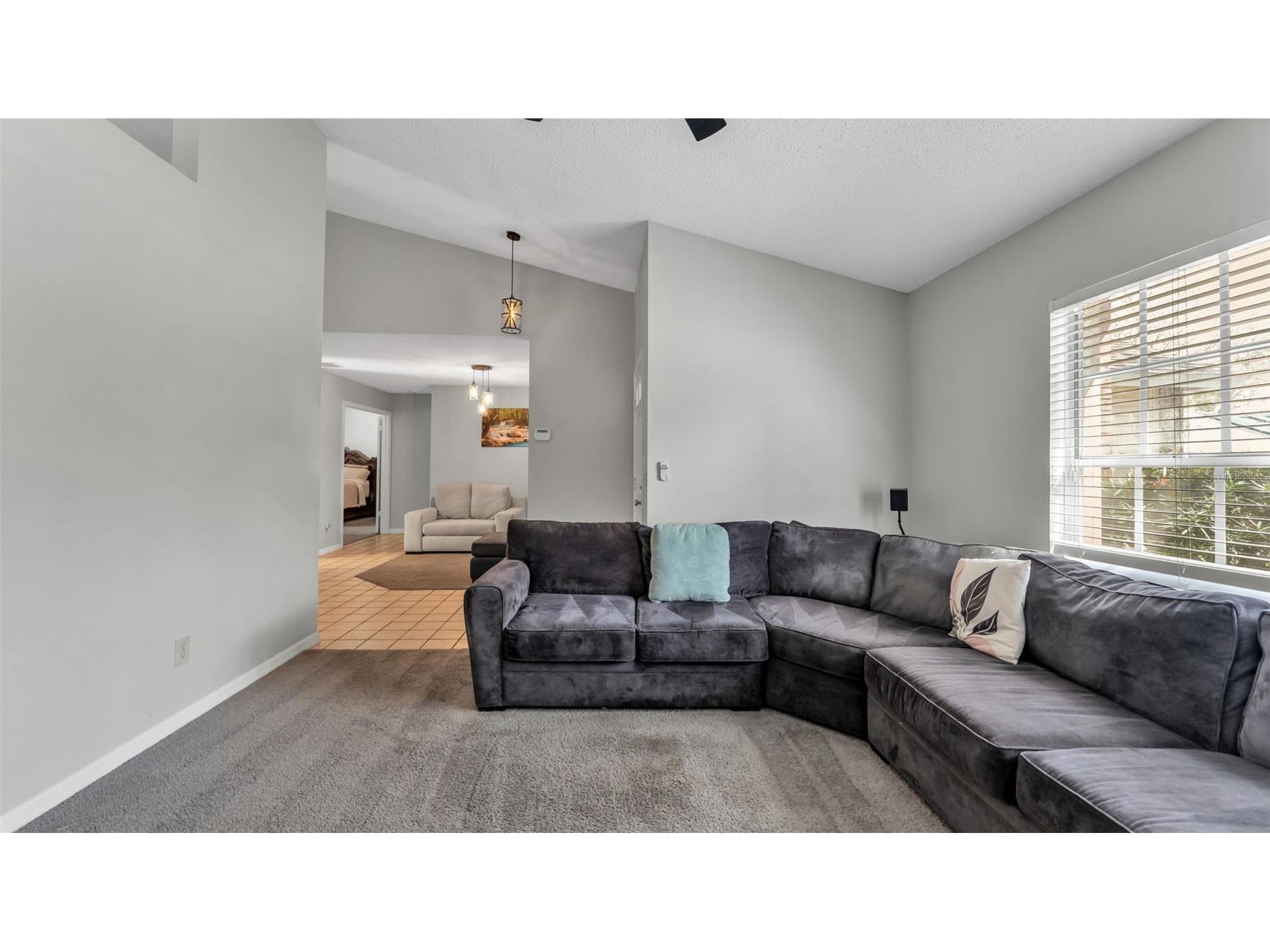 12224 Wildbrook Drive Riverview FL 33569 L4959535 image7