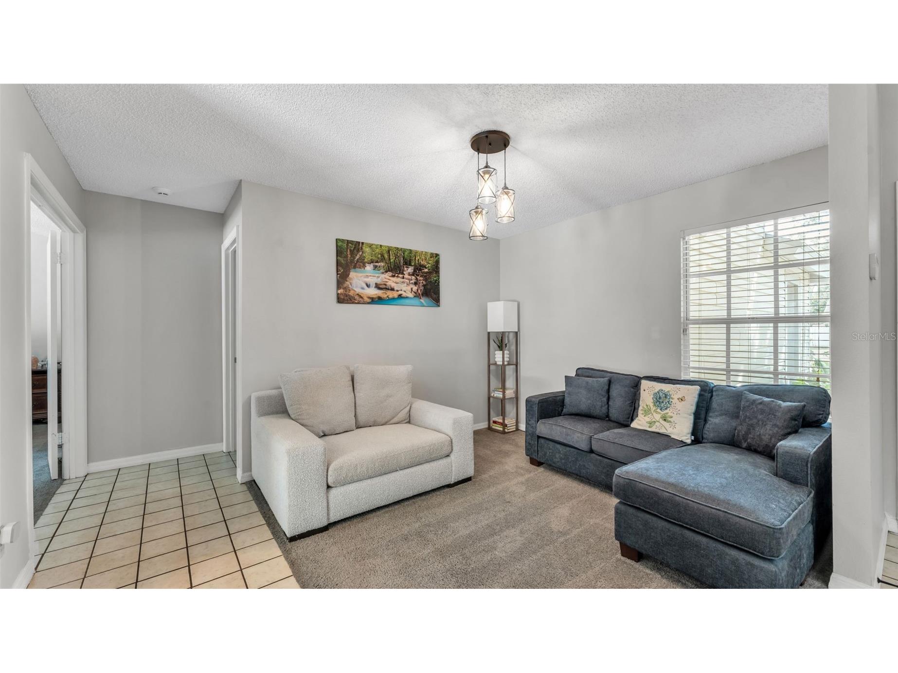 12224 Wildbrook Drive Riverview FL 33569 L4959535 image8