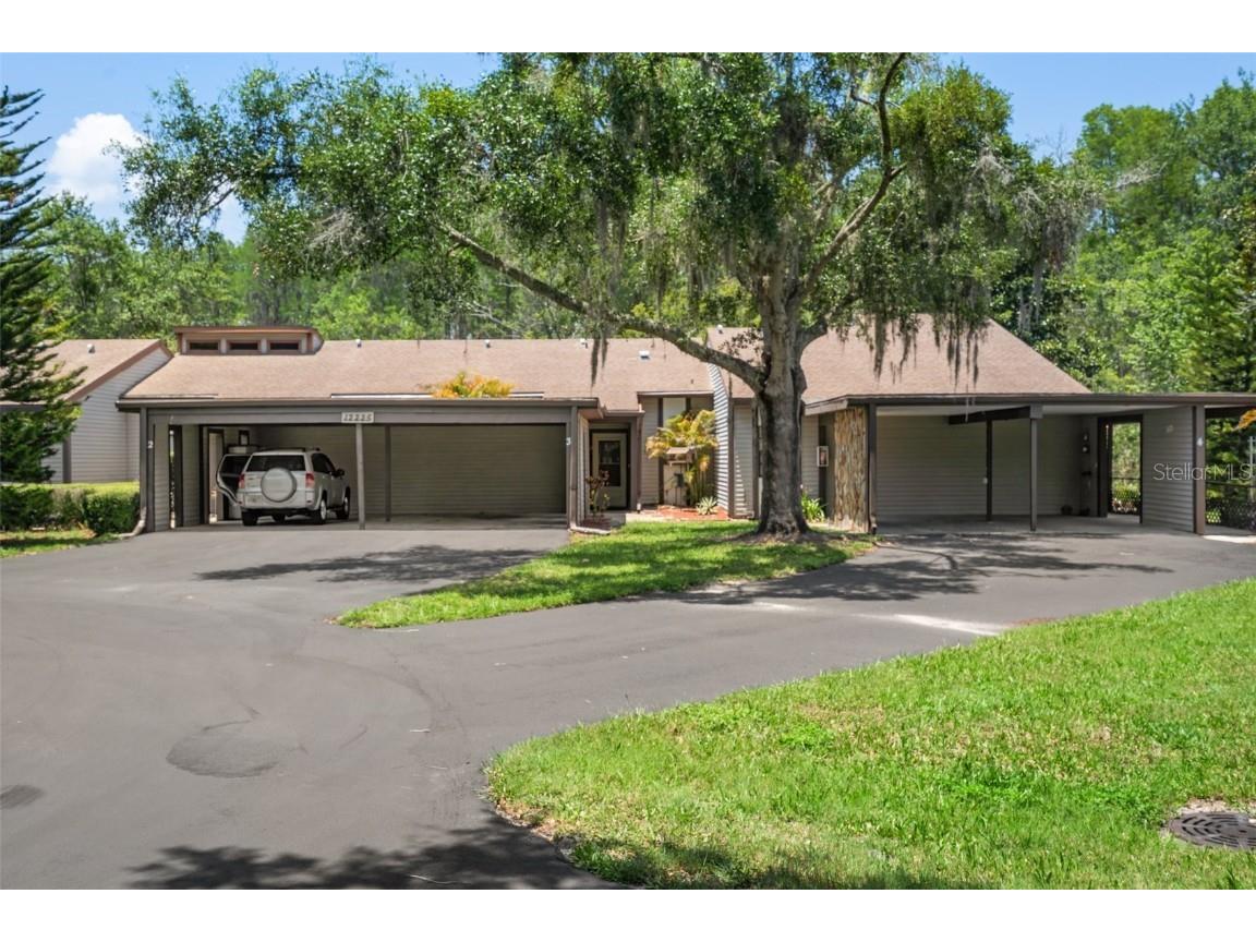 12225 Environmental Drive #3 New Port Richey FL 34654 T3451537 image1