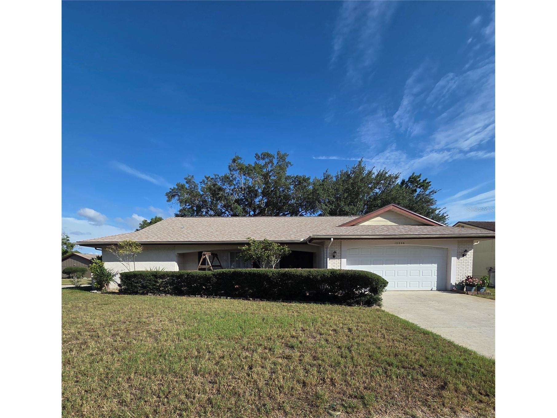 12226 Meadowbrook Lane Hudson FL 34667 TB8517837 image1