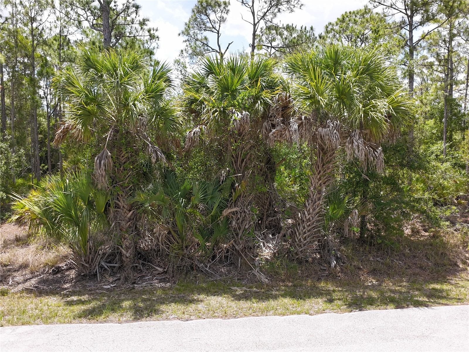 12226 Ripple Drive Punta Gorda FL 33955 C7526559 image1