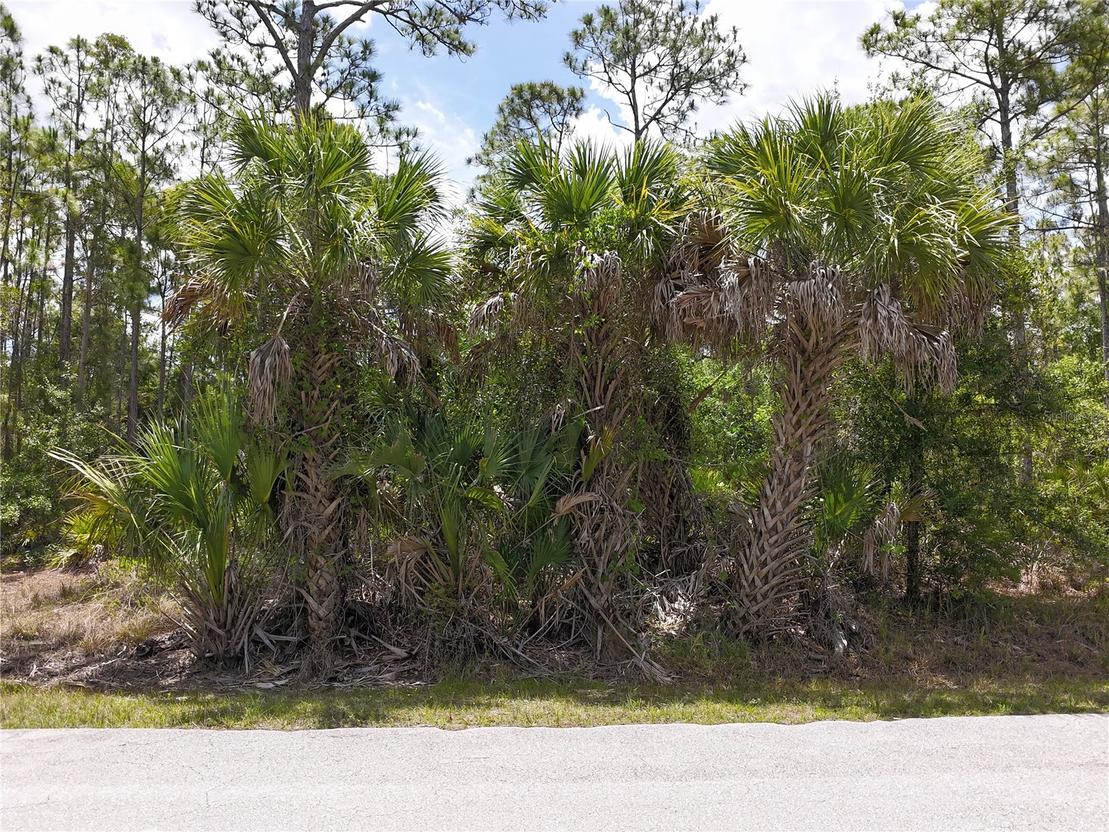 12226 Ripple Drive Punta Gorda FL 33955 C7526559 image12