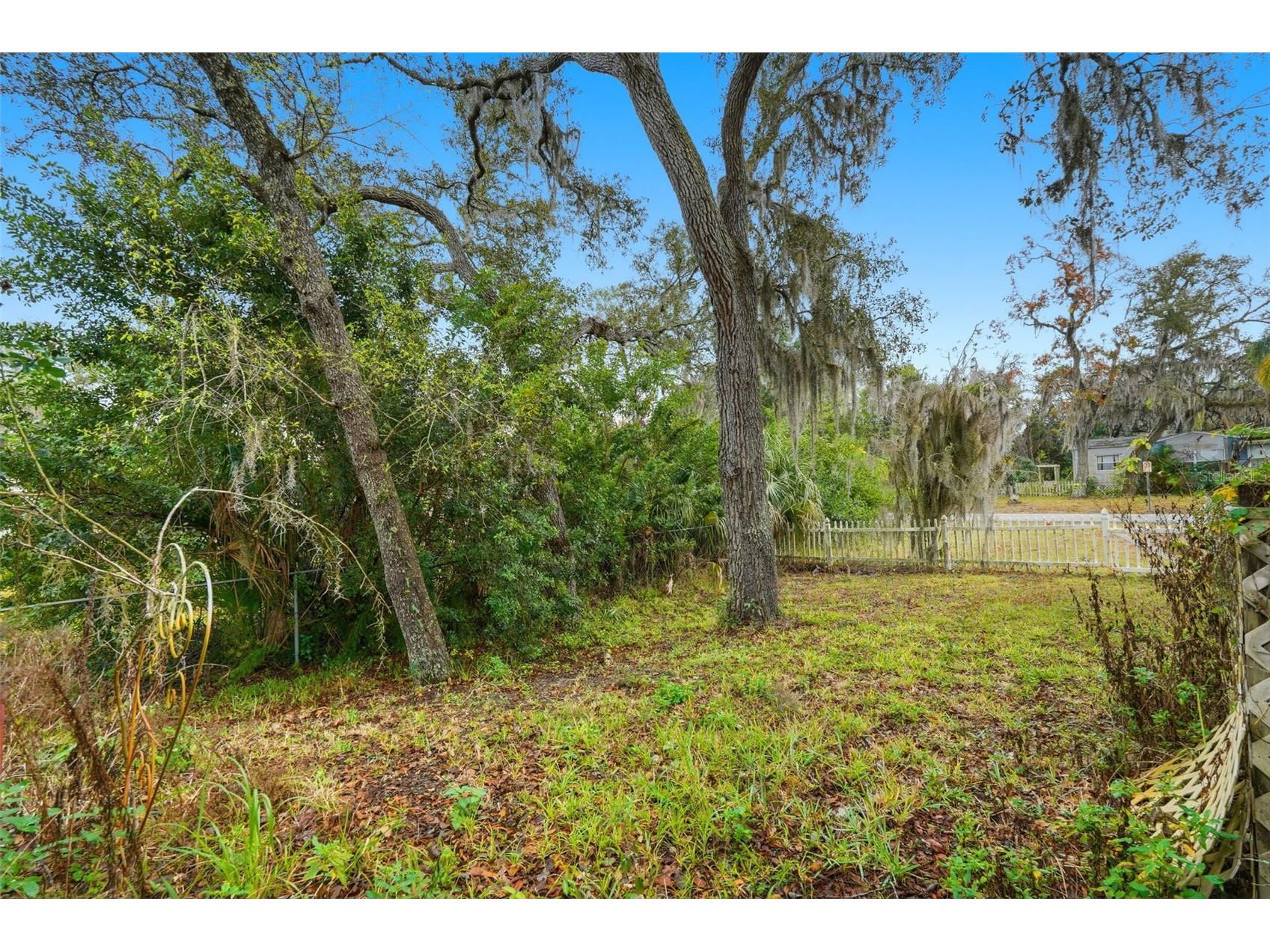 12227 Terra Ceia Avenue New Port Richey FL 34654 - Clear Lake TB8469440 image35