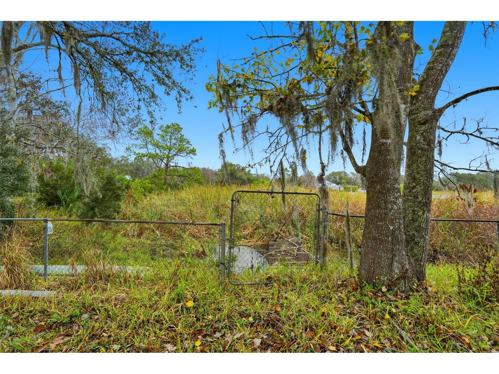 12227 Terra Ceia Avenue New Port Richey FL 34654 - Clear Lake TB8469440 image39