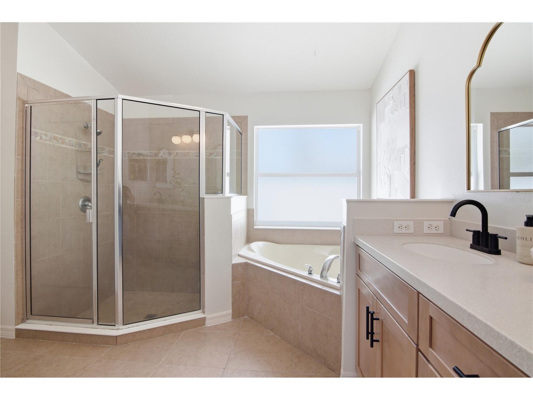 12228 Citruswood Drive Orlando FL 32832 O6394293 image28