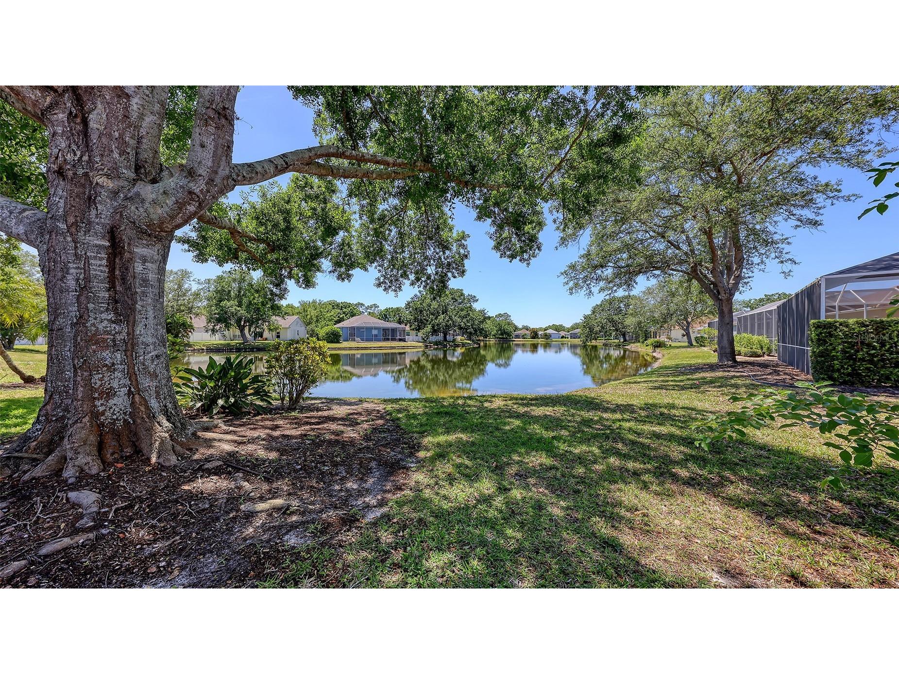 12228 Winding Woods Way Lakewood Ranch FL 34202 A4690320 image47