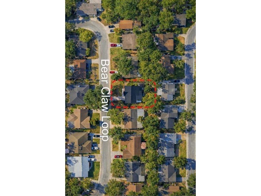 12229 Bear Claw Loop Hudson FL 34667 W7883061 image7