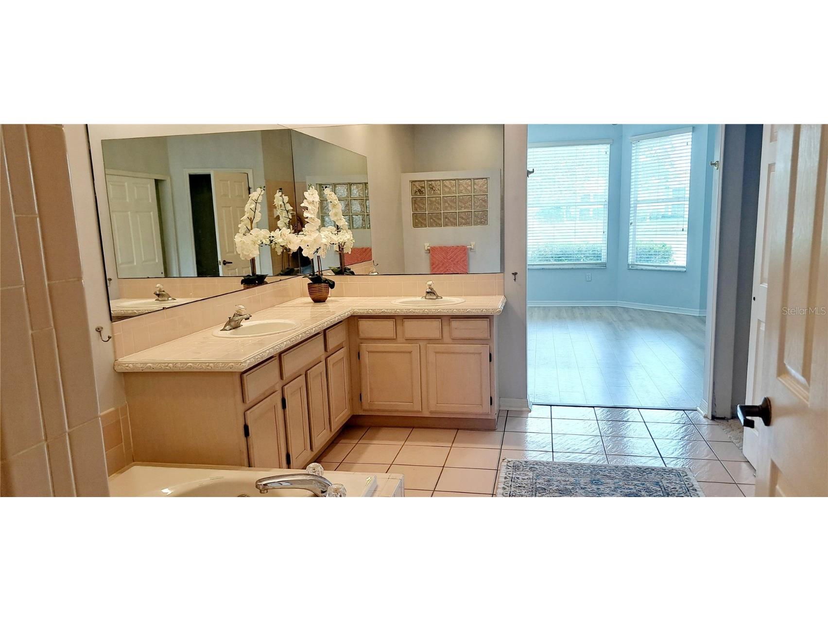 1223 Clays Trail Oldsmar FL 34677 TB8436662 image6