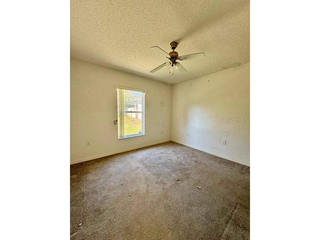 1223 Gatewood Avenue Spring Hill FL 34608 TB8457458 image16