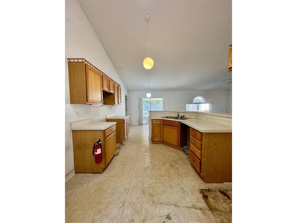 1223 Gatewood Avenue Spring Hill FL 34608 TB8457458 image7