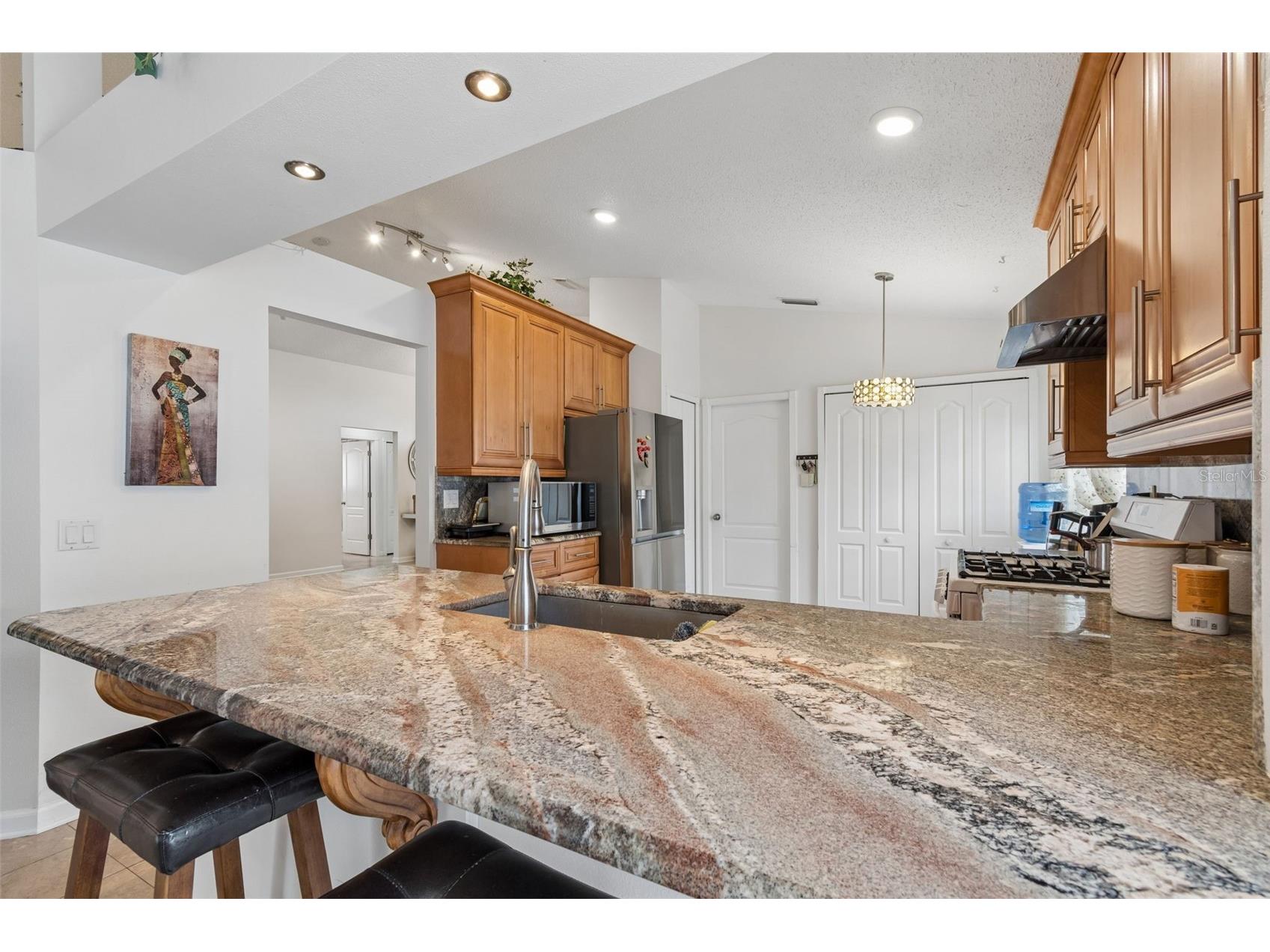 1223 Timber Trace Drive Wesley Chapel FL 33543 TB8503616 image14