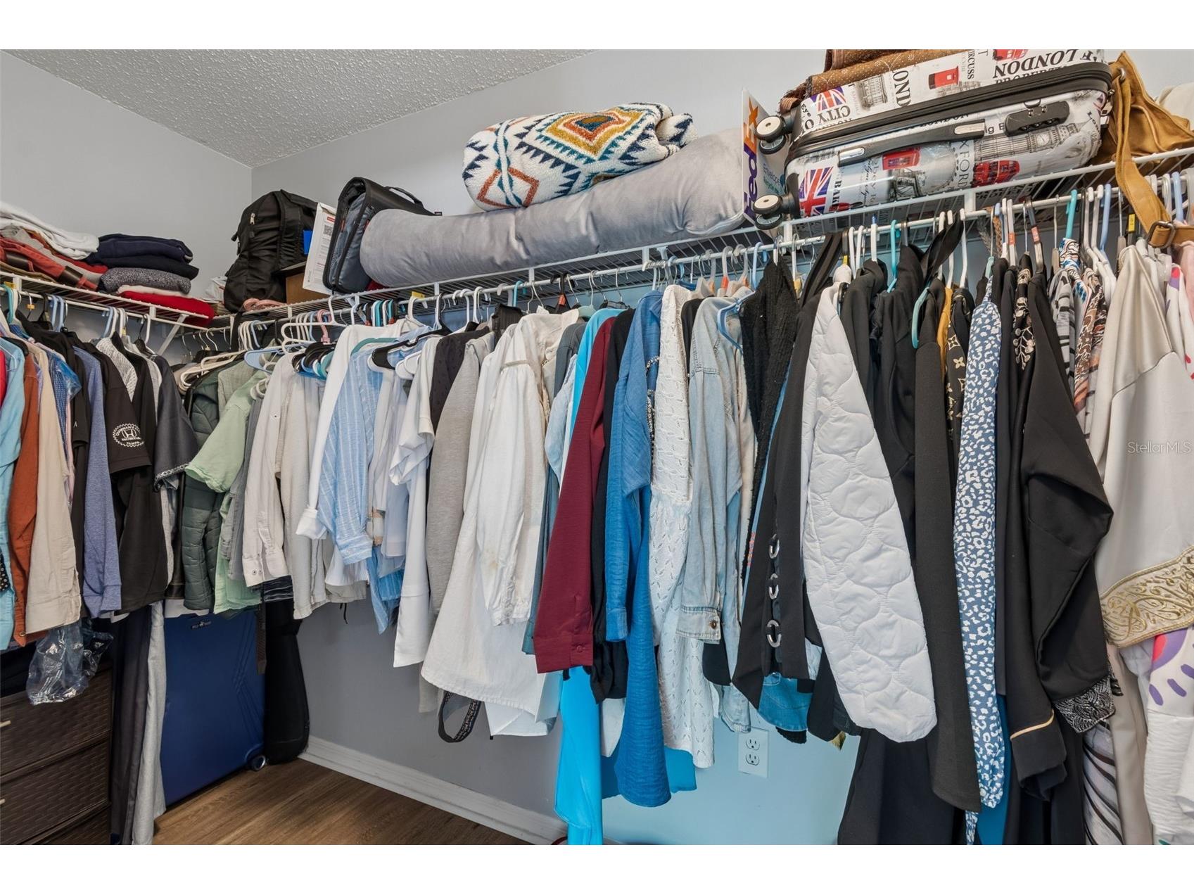 1223 Timber Trace Drive Wesley Chapel FL 33543 TB8503616 image25