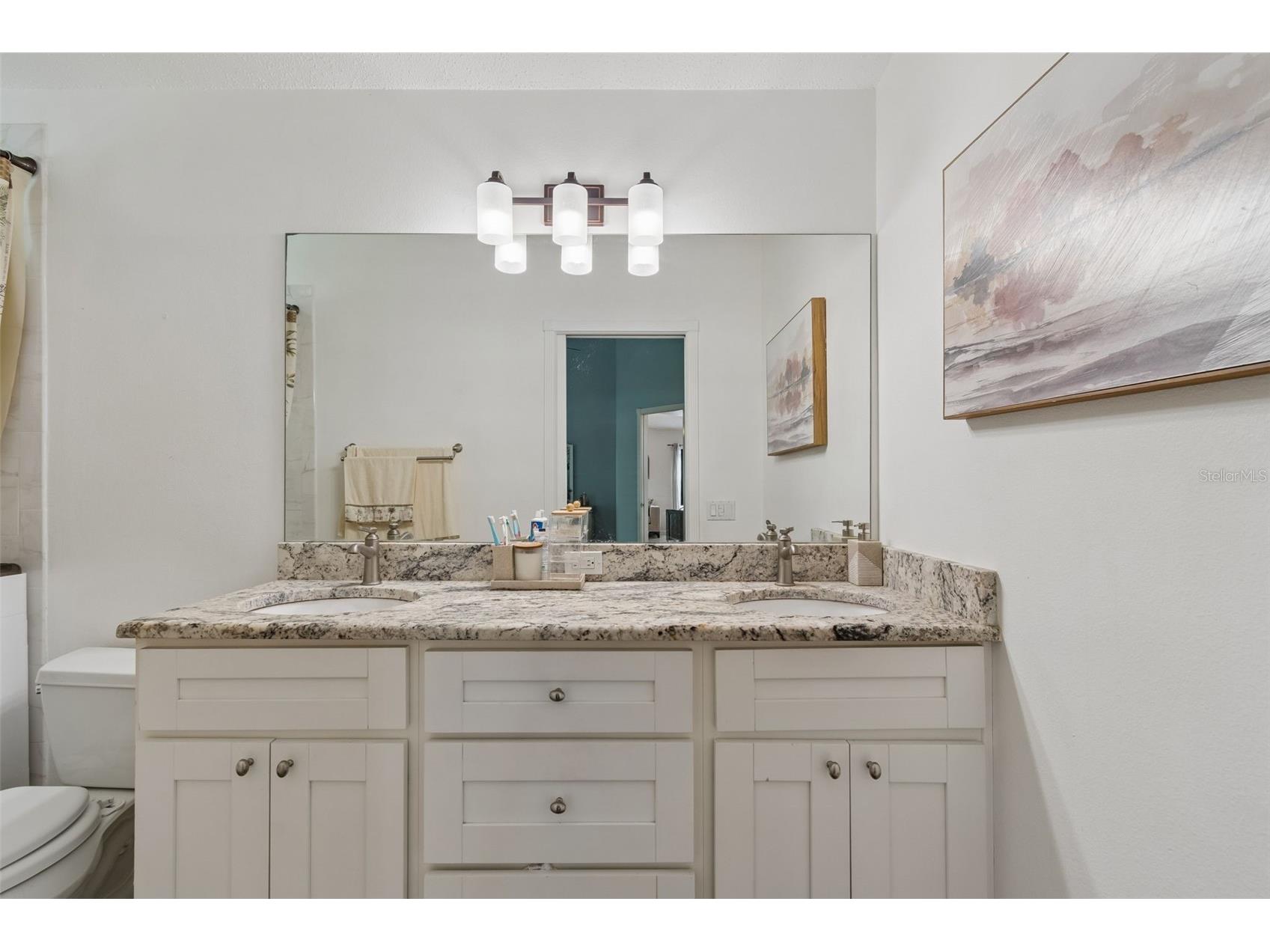 1223 Timber Trace Drive Wesley Chapel FL 33543 TB8503616 image28