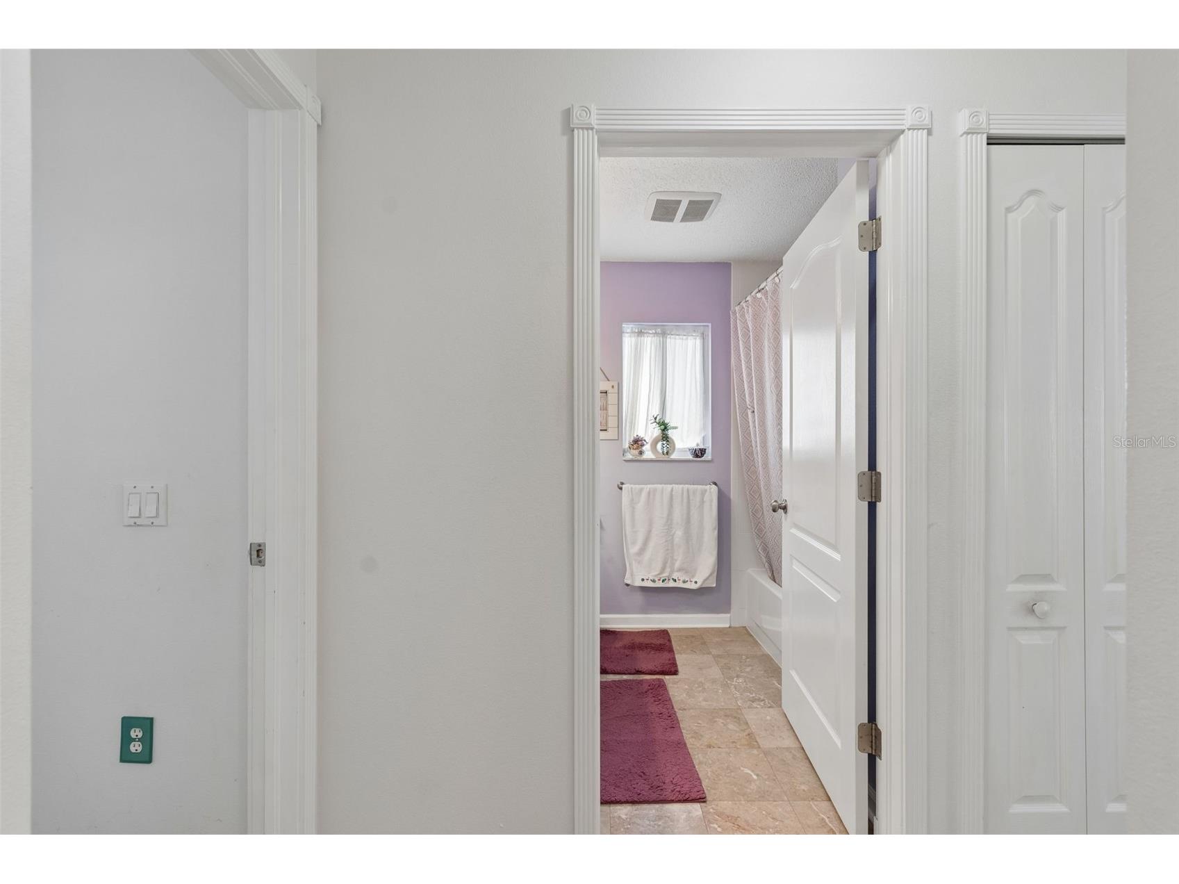 1223 Timber Trace Drive Wesley Chapel FL 33543 TB8503616 image31
