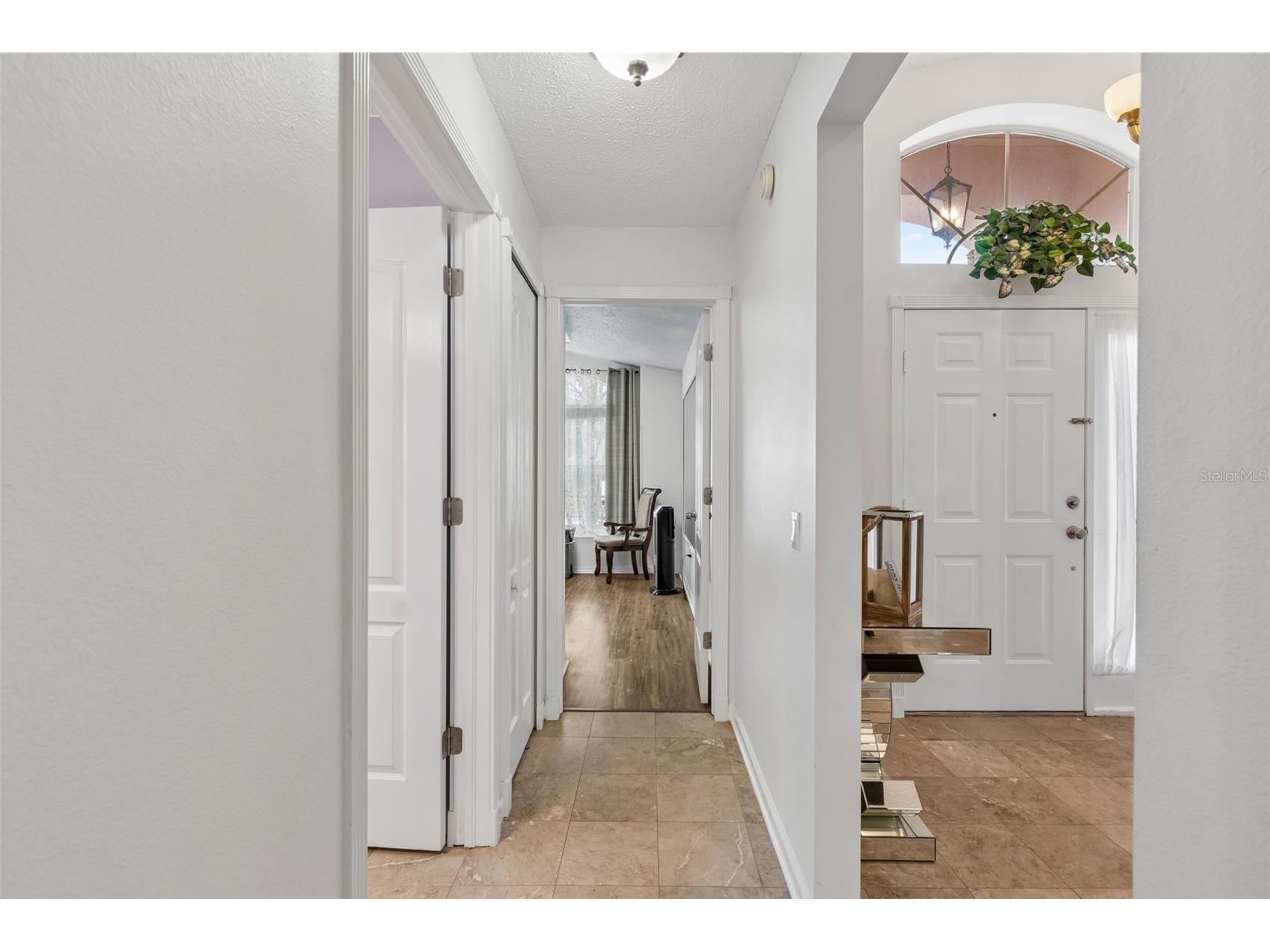 1223 Timber Trace Drive Wesley Chapel FL 33543 TB8503616 image32