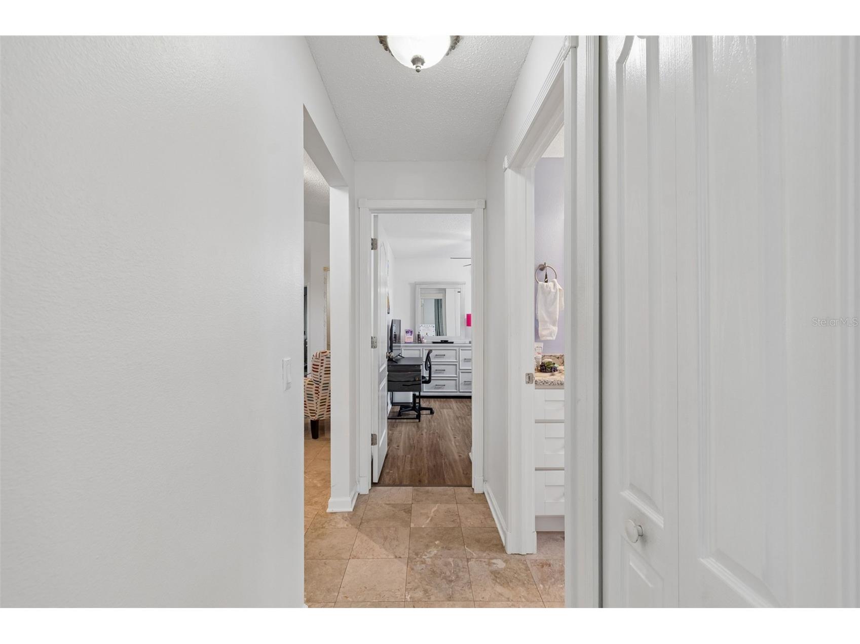 1223 Timber Trace Drive Wesley Chapel FL 33543 TB8503616 image33