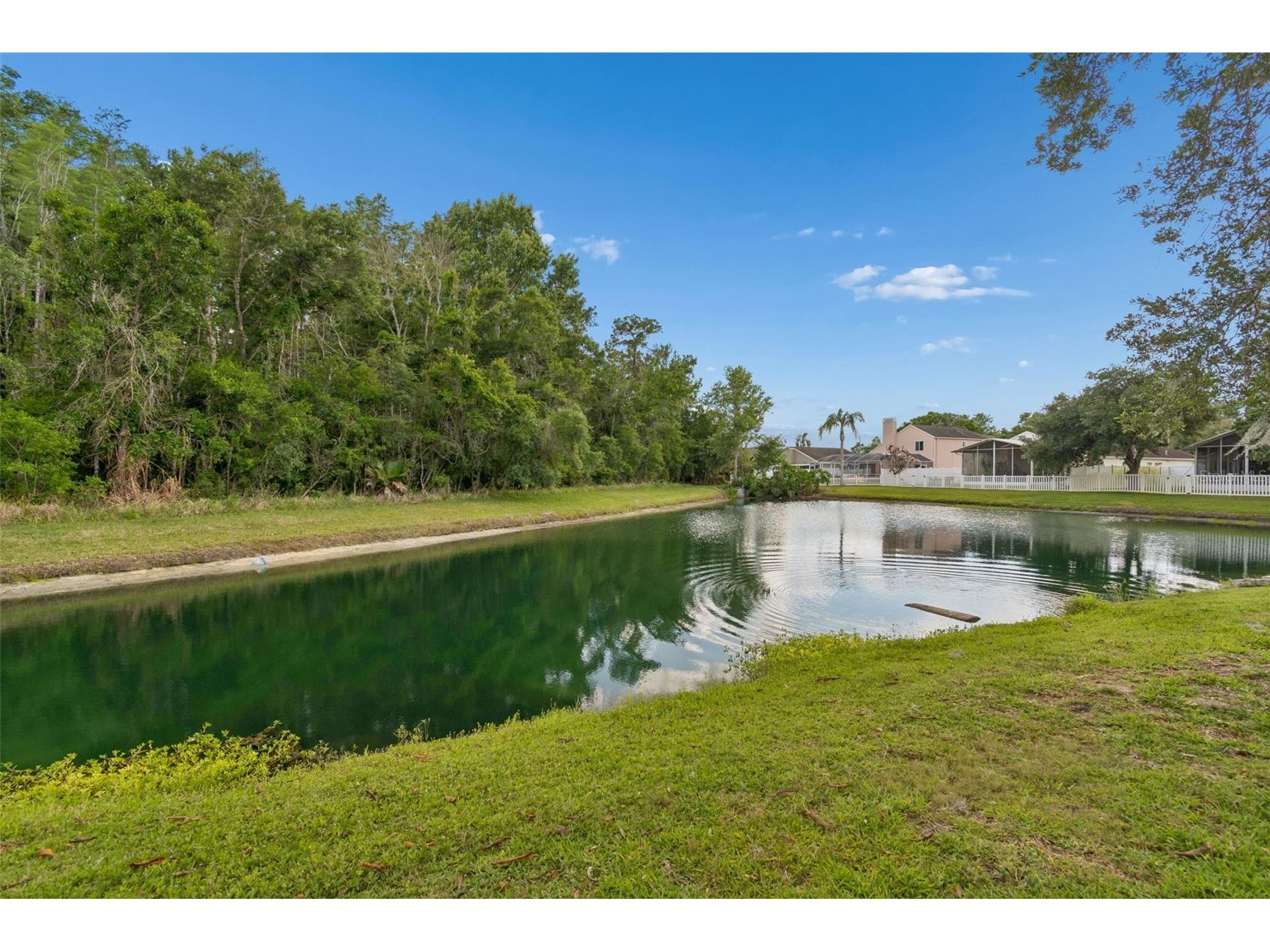 1223 Timber Trace Drive Wesley Chapel FL 33543 TB8503616 image52