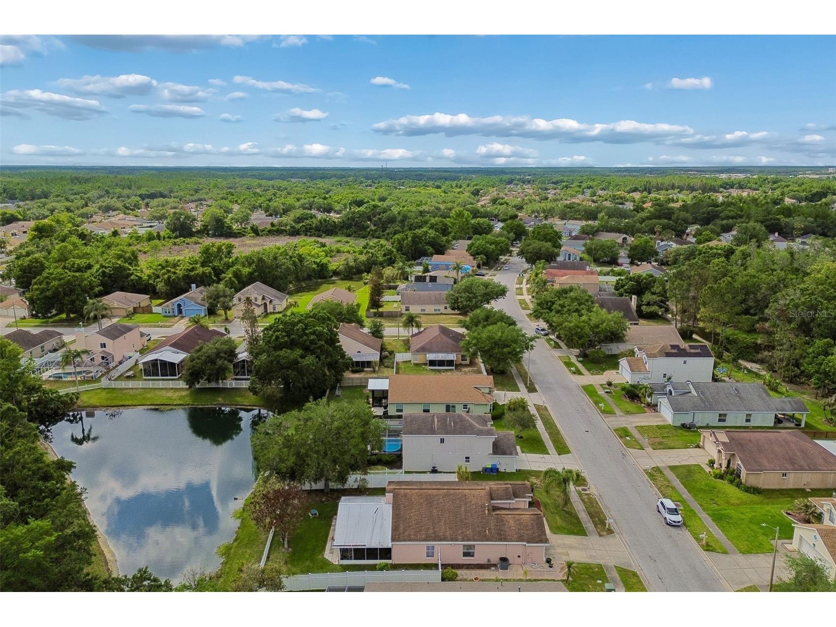 1223 Timber Trace Drive Wesley Chapel FL 33543 TB8503616 image68
