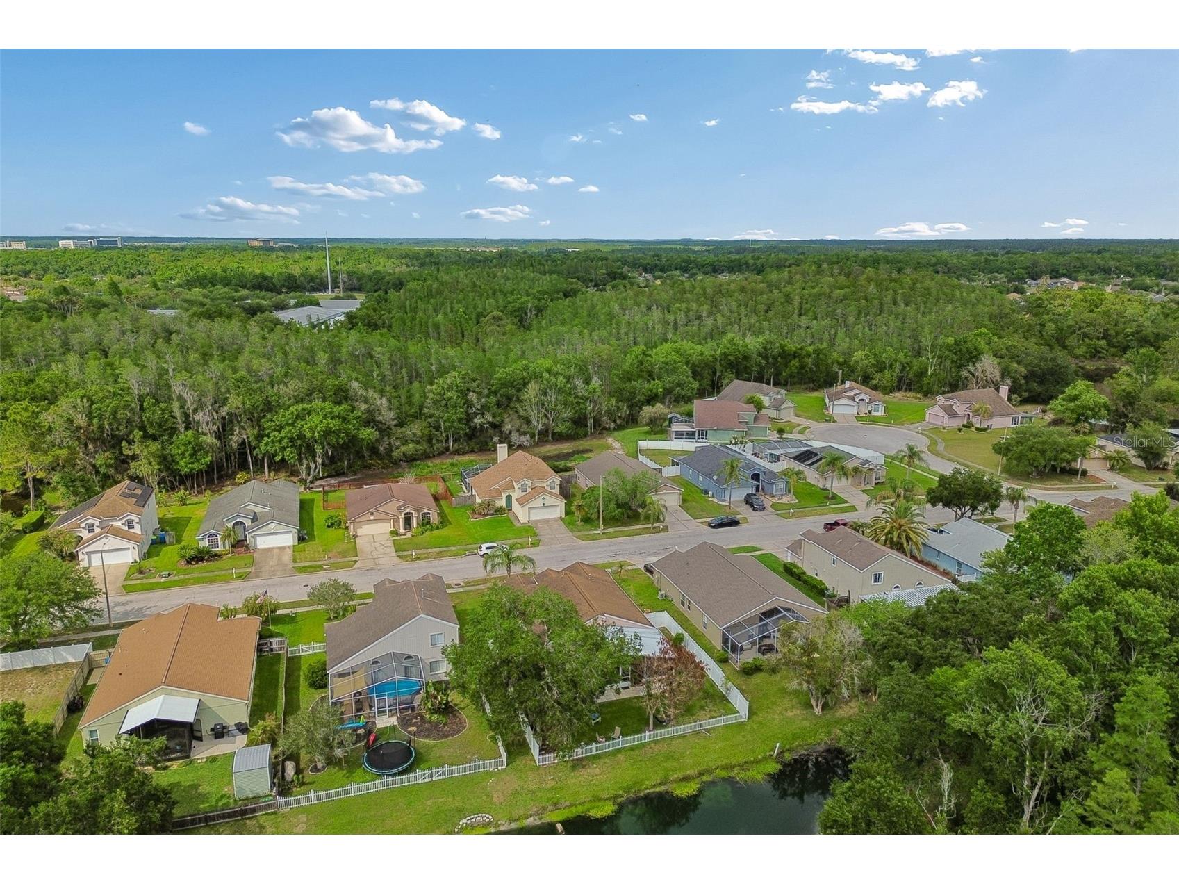 1223 Timber Trace Drive Wesley Chapel FL 33543 TB8503616 image69