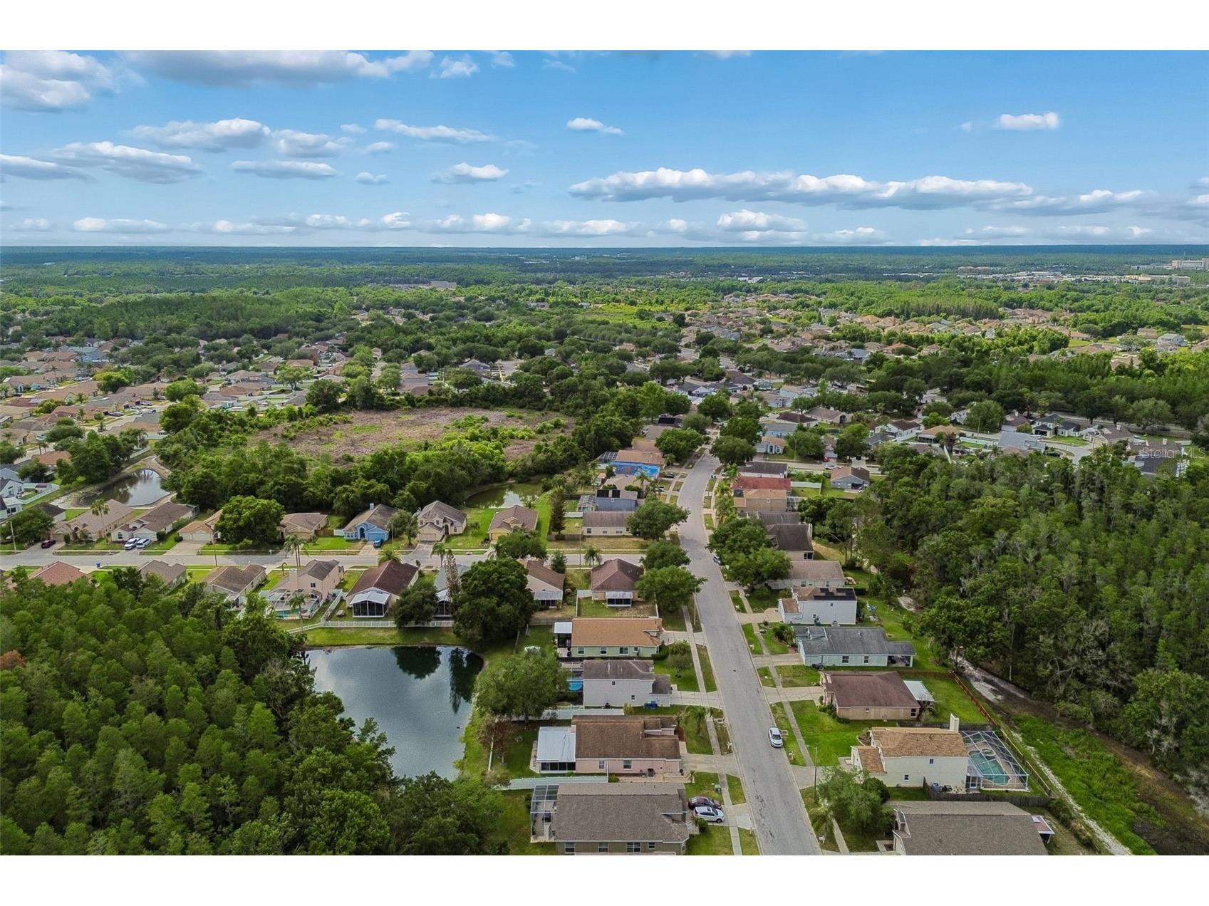 1223 Timber Trace Drive Wesley Chapel FL 33543 TB8503616 image70