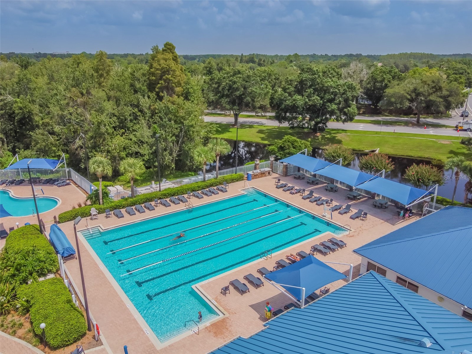1223 Timber Trace Drive Wesley Chapel FL 33543 TB8503616 image71