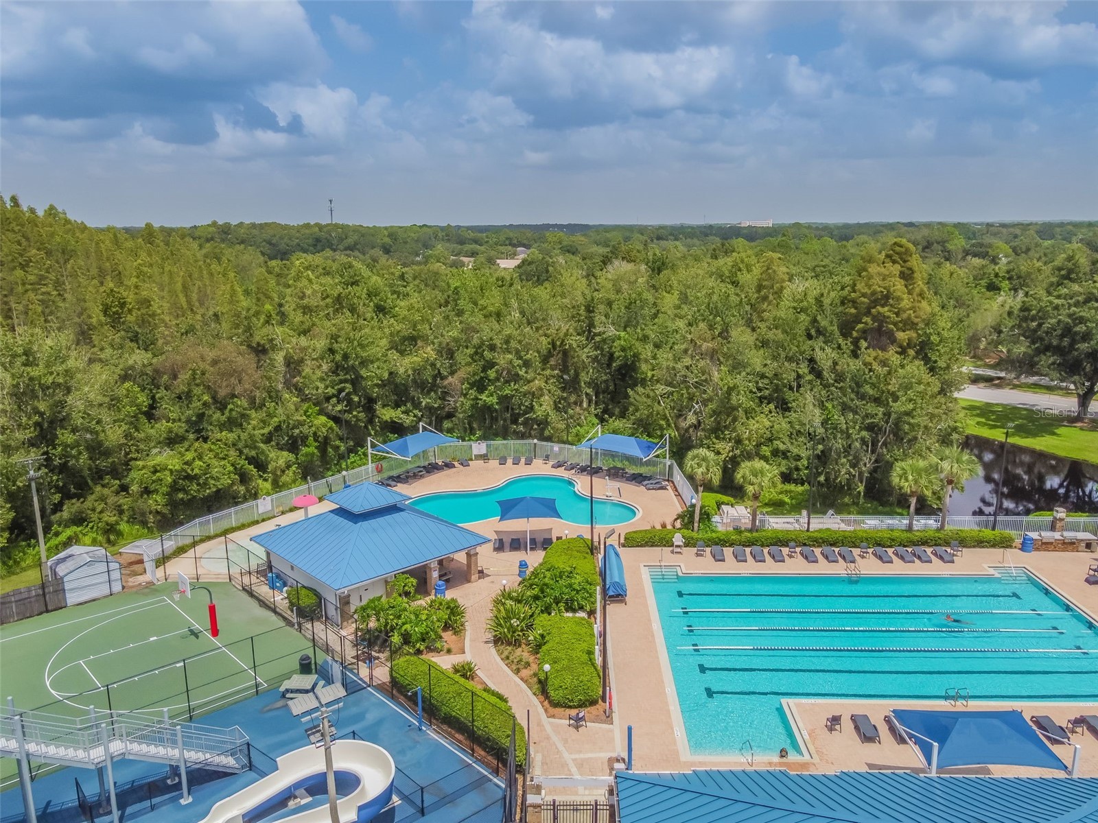 1223 Timber Trace Drive Wesley Chapel FL 33543 TB8503616 image72