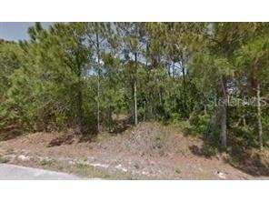 1223 Wadsworth Street SE Palm Bay FL 32909 O6252842 image1