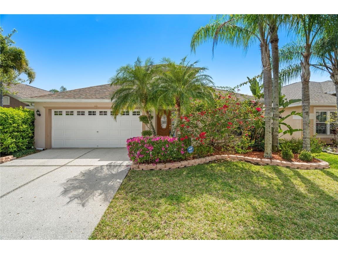 12230 Bishopsford Drive Tampa FL 33626 U8233653 image1