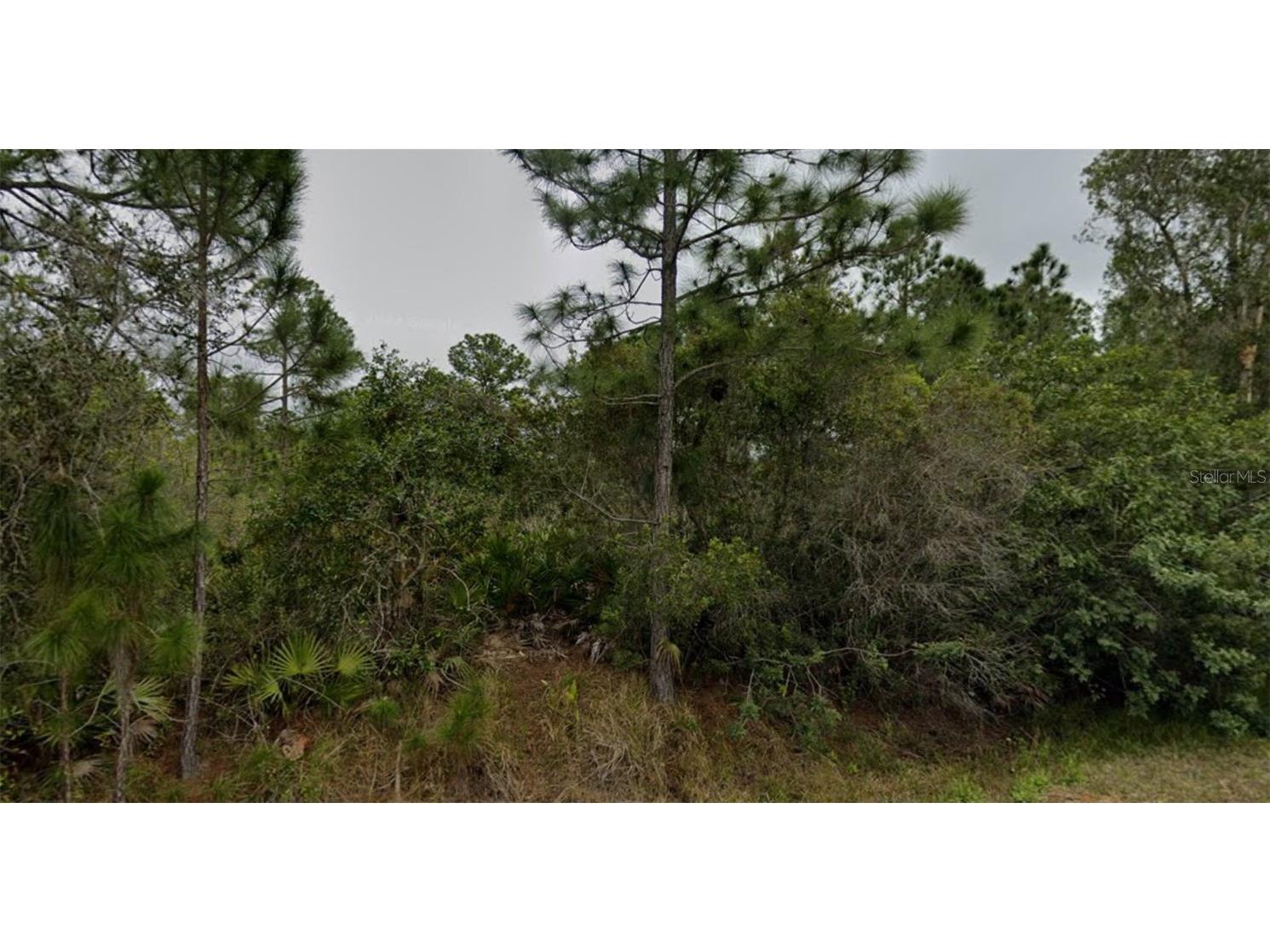 12230 Minnesota Avenue Punta Gorda FL 33955 A4570781 image1