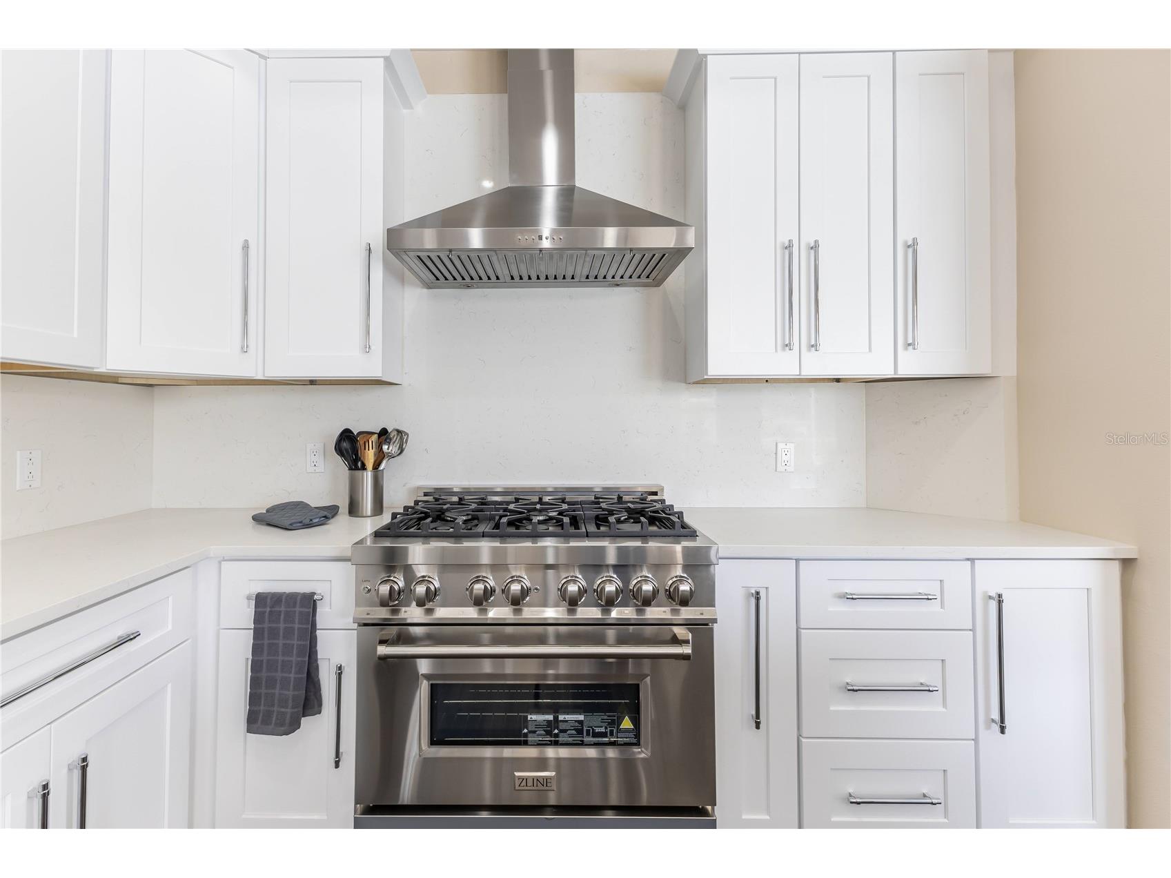 12230 Padron Boulevard Spring Hill FL 34609 A4678138 image11