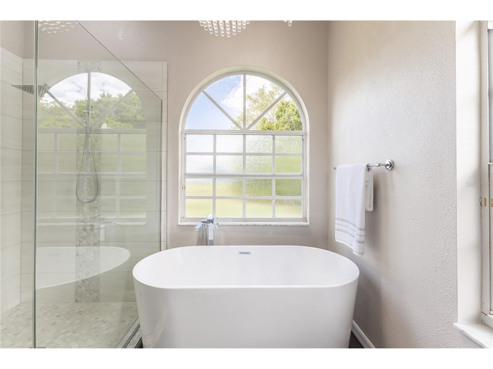 12230 Padron Boulevard Spring Hill FL 34609 A4678138 image14