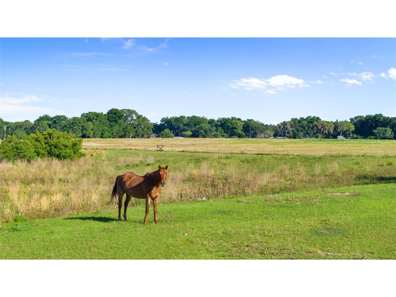 12230 Stonelake Ranch Boulevard Thonotosassa FL 33592 - 37 ACRE LAKE HENDRY TB8397017 image98