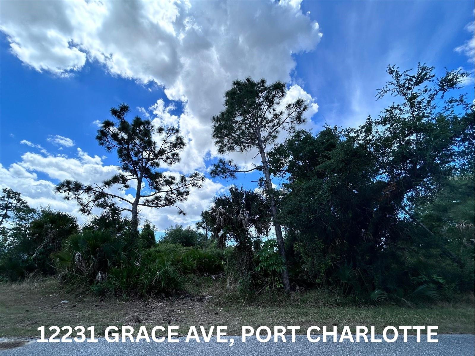 12231 Grace Avenue Port Charlotte FL 33981 C7525055 image1