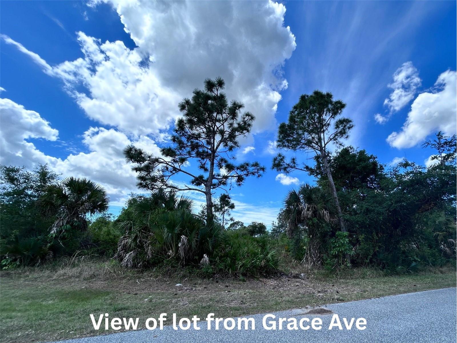 12231 Grace Avenue Port Charlotte FL 33981 C7525055 image2