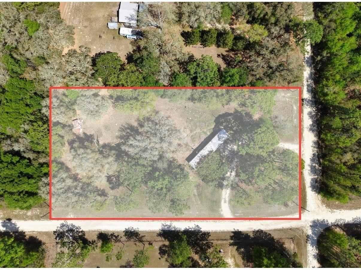 12231 NE 64th Place Williston FL 32696 O6390250 image1