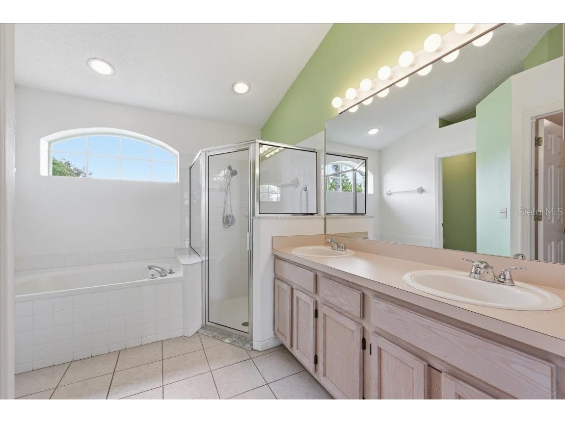 12231 Shady Forest Drive Riverview FL 33569 A4674216 image19