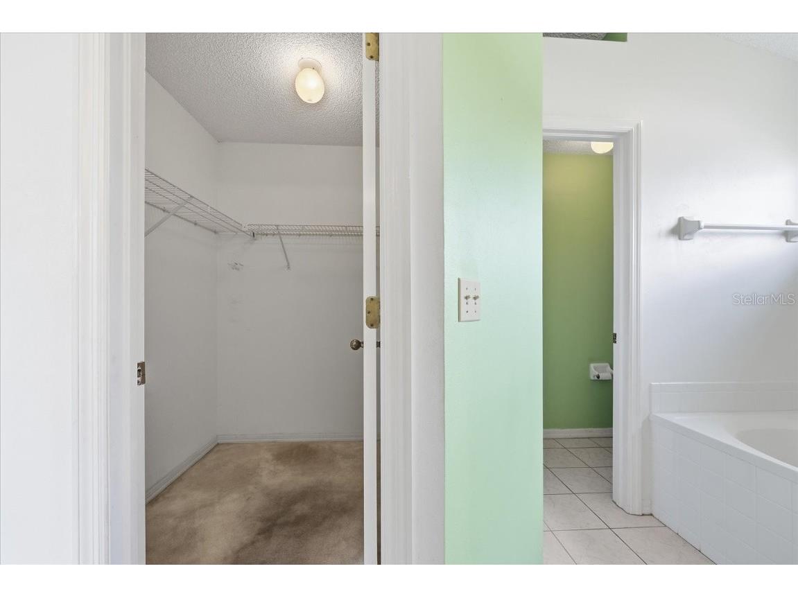 12231 Shady Forest Drive Riverview FL 33569 A4674216 image20