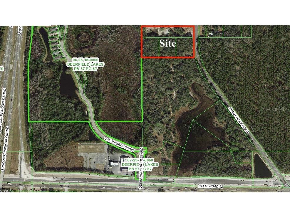 12231 Shady Hills Road Spring Hill FL 34610 TB8409738 image2